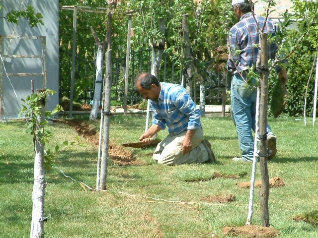 orhan_orsel_evi_komple_villa_dekorasyonu_16